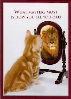 My cat thinks like this Cat looking in a mirror at reflection of a lion.