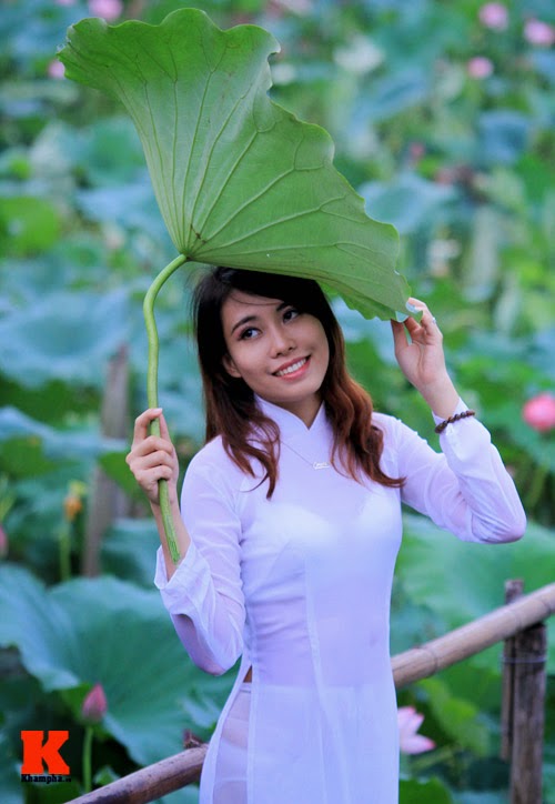 The lotus and Vietnam girls The lotus and Vietnam girls