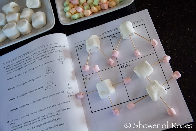 Shower of Roses: Making Marshmallow Molecules!