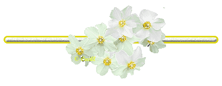 Resultado de imagen para flor de lirio png sin fondo blanco separadores