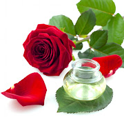 Since ancient times, the rose has been highly prized for its source of . (rose)