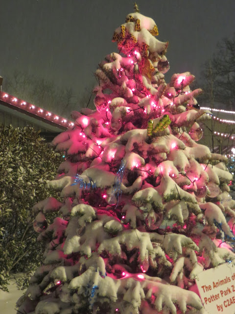 Damn Dog House: Christmas at the Zoo