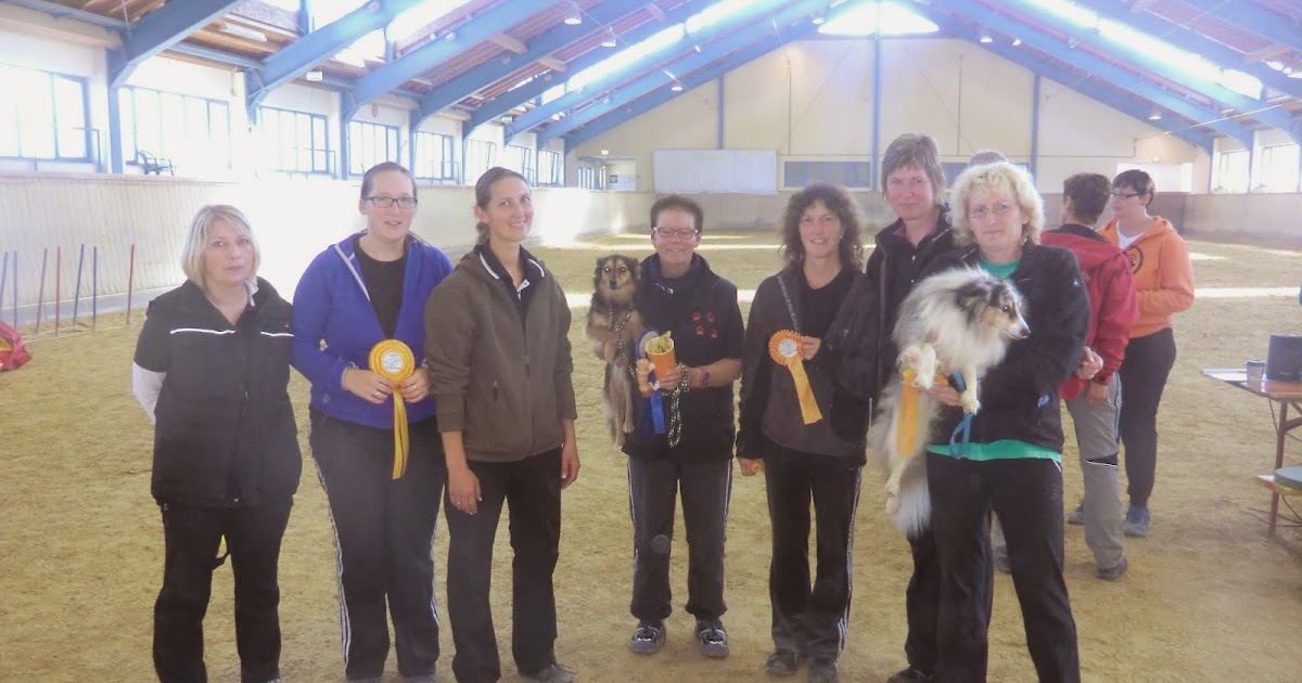 HSV Fetzige Hund� e.V. Turnierwochenende der Fetzigen Hund� mit