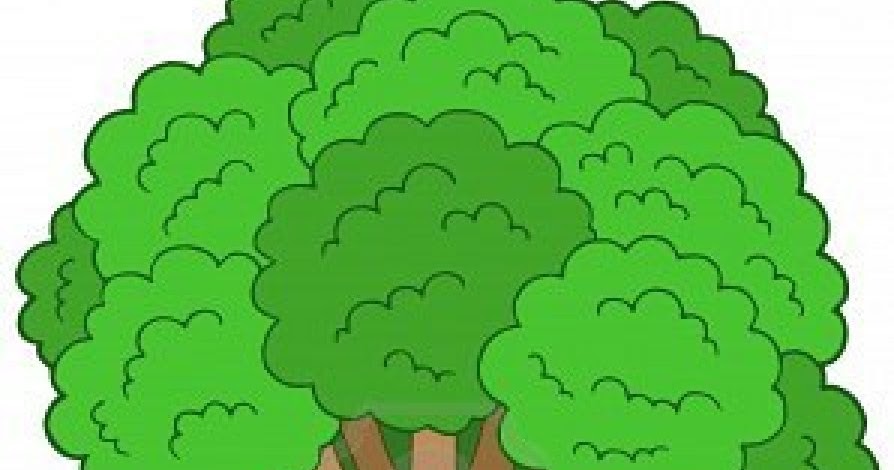 EL BOSQUE ANIMADO - Casa del Libro