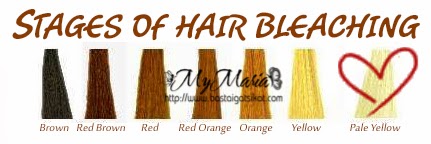 Blonde Ambition 2 How To Tone Hair To Get Rid Of Brassiness