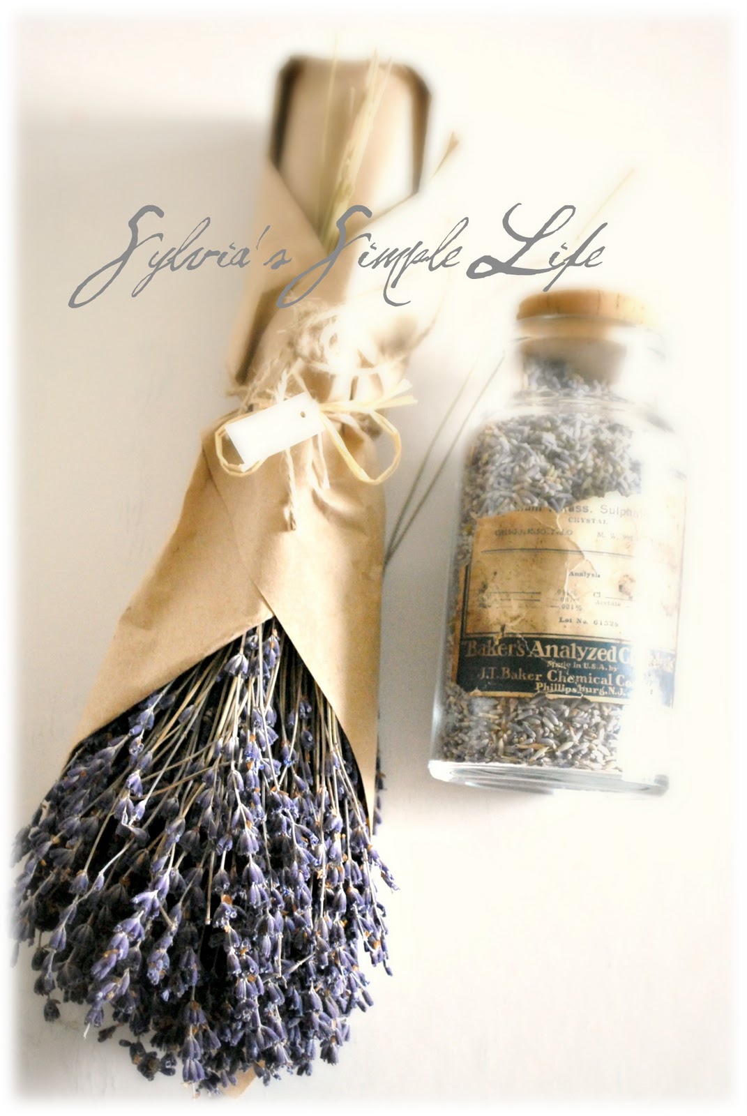 Sylvia's Simple Life Smell the Lavender