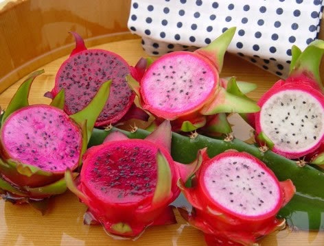 buah naga buah naga