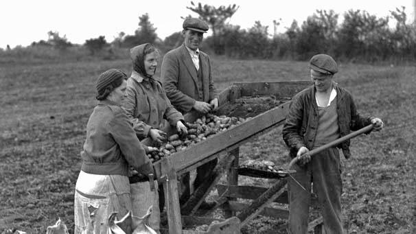 a history of the irish potato famine in the late summer of 1845 Famine had been common in nineteenth century ireland and almost an occupational hazard of rural life in ireland but the great famine of 1845 the summer of 1845 was mild but an air carried fungus the people of ireland expected a good potato crop in 1845 the weather had. a history of the irish potato famine in the late summer of 1845 Famine had been common in nineteenth century ireland and almost an occupational hazard of rural life in ireland but the great famine of 1845 the summer of 1845 was mild but an air carried fungus the people of ireland expected a good potato crop in 1845 the weather had.