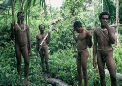 Daun Bungkus, Rahasia Kejantanan Pria Papua | Papuaku - Indonesia