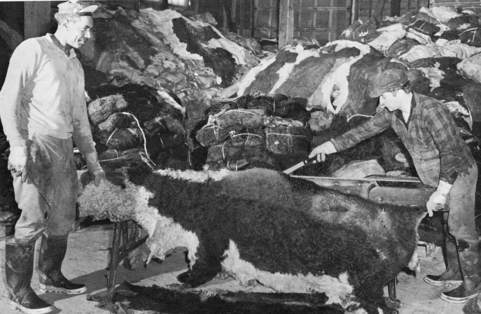 Bill Odbert The Leather Craftsman Milwaukee Tanneries 1901 2001