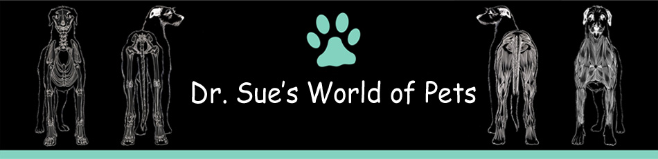 Dr. Sue's World of Pets