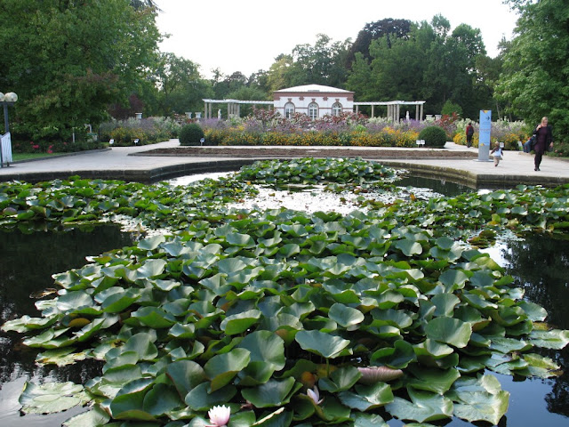  Ogród botaniczny we Frankfurcie - Palmengarten Frankfurt.