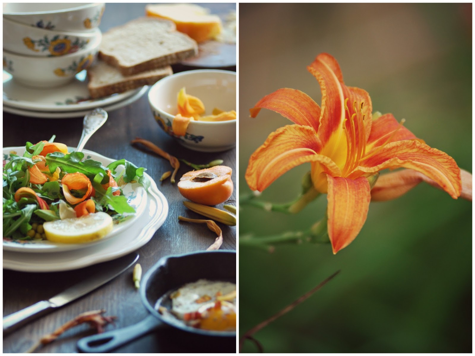 Sylvia's Simple Life Whispering Daylilies