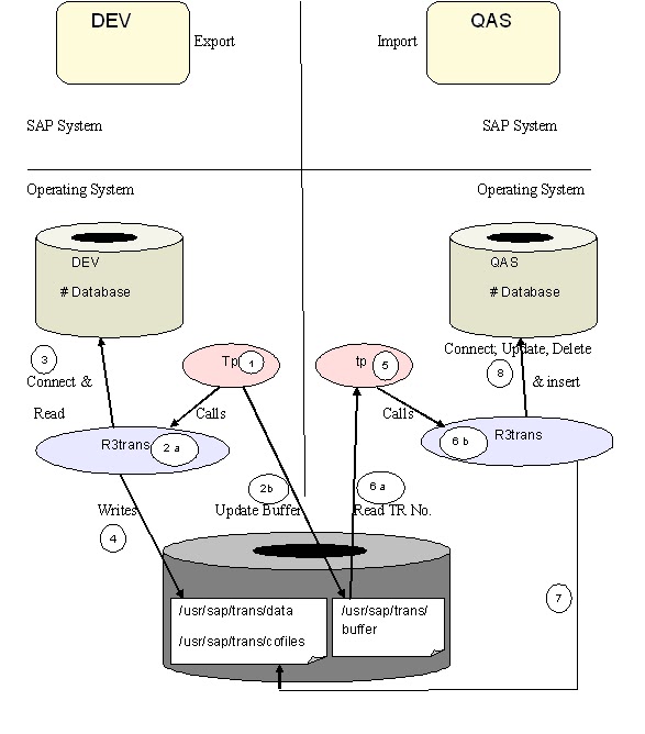 sap transport workflow sap sap transport basic overview sap transport workflow sap sap transport basic overview