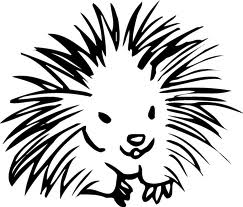 Myth Mash: Can Porcupines Shoot Quills From Their Back?