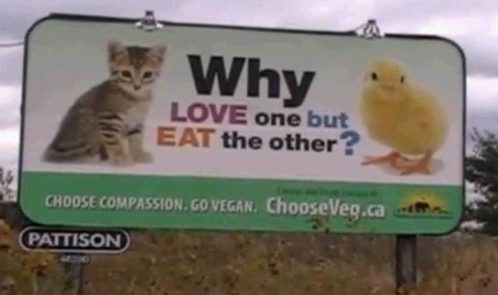 GO VEGAN !