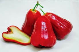 Kandungan Dan Manfaat Yang Tersimpan Pada Buah Jambu Air | Kumpulan