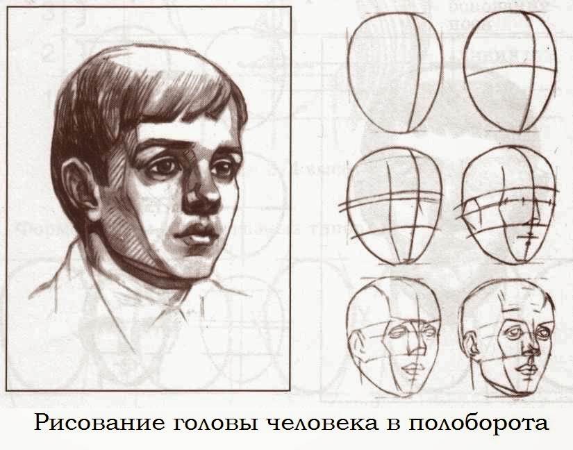 Как рисовать в полуанфас Как рисовать в полуанфас