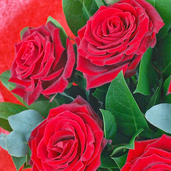 valentines flowers uk valentines flowers uk