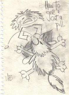 Give the cat a pill!
