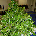 How to build a holiday centerpiece
