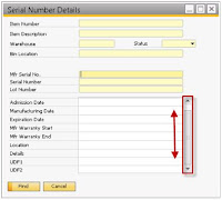 SAP Business One Resize Serial And Batch Number Details Window 