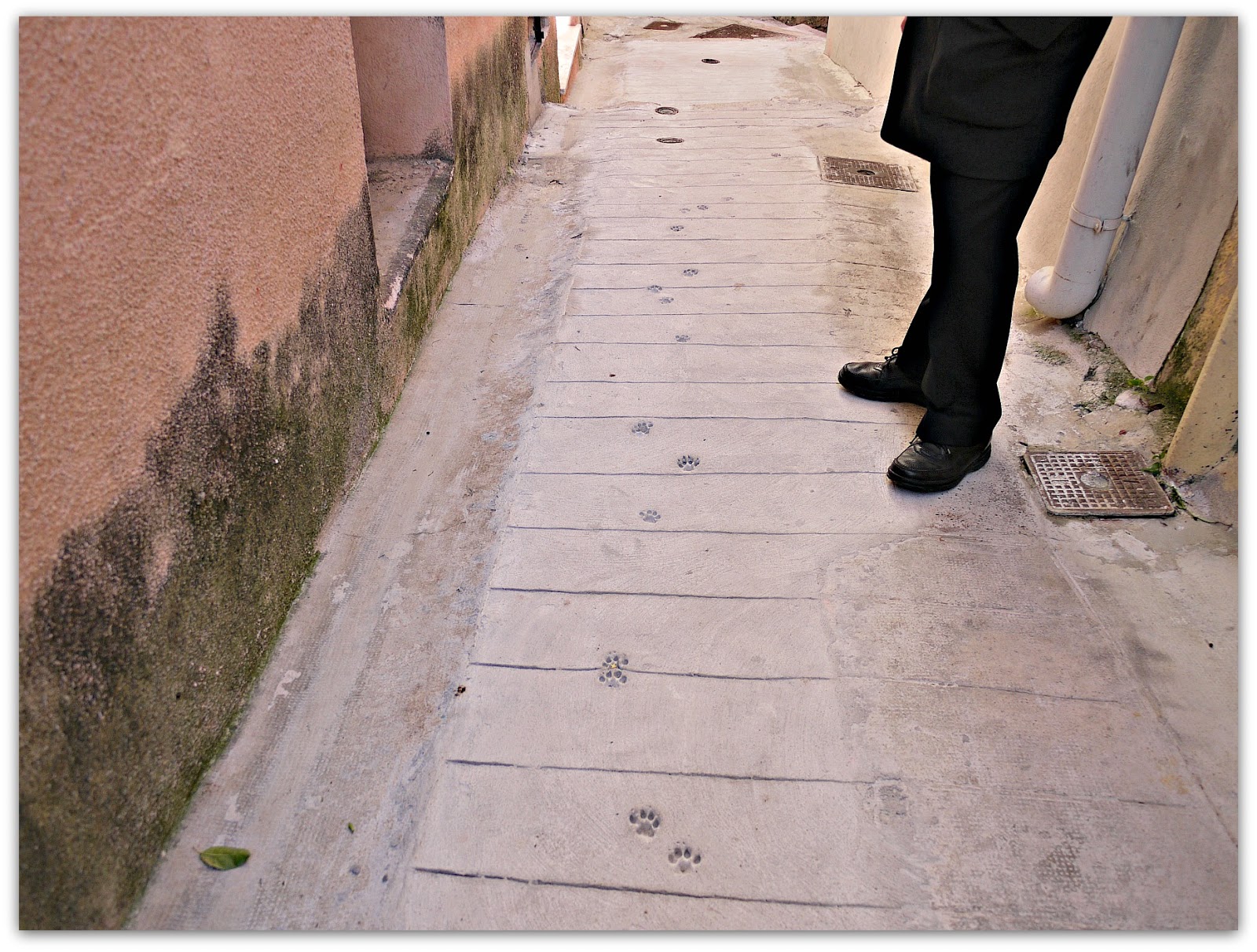 The Auntie Times Wet Cement