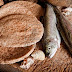 Víctor Jacobo - Cinco Panes y Dos Peces…