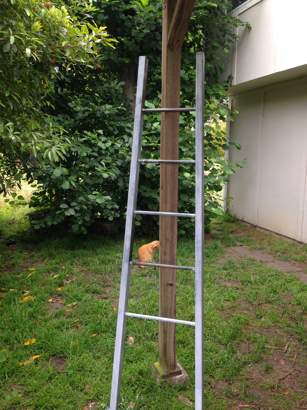 The Daily Wink DIY Decorative Ladder