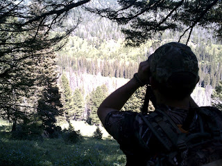 Elk Hunting in Idaho Idaho Back Country