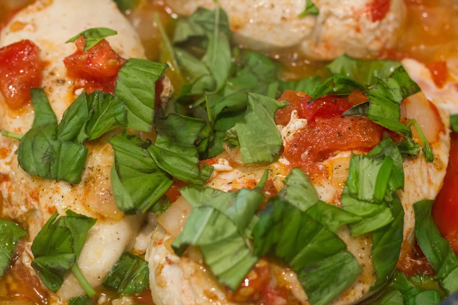 Cooper & Chloe Creamy Tomato Basil Chicken Alfredo