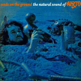 Airto Natural Feelings Airto Natural Feelings