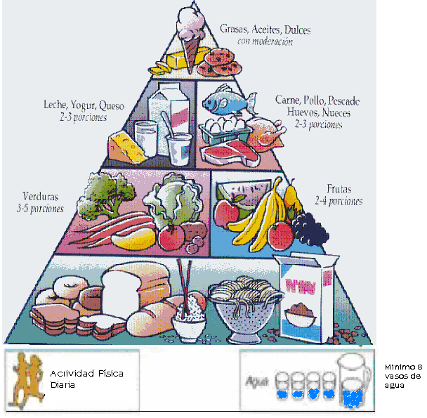 UNA BUENA ALIMENTACIÓN BUENA VIDA: ALIMENTACIÓN SANA Y UNA BUENA ALIMENTACIÓN BUENA VIDA: ALIMENTACIÓN SANA Y