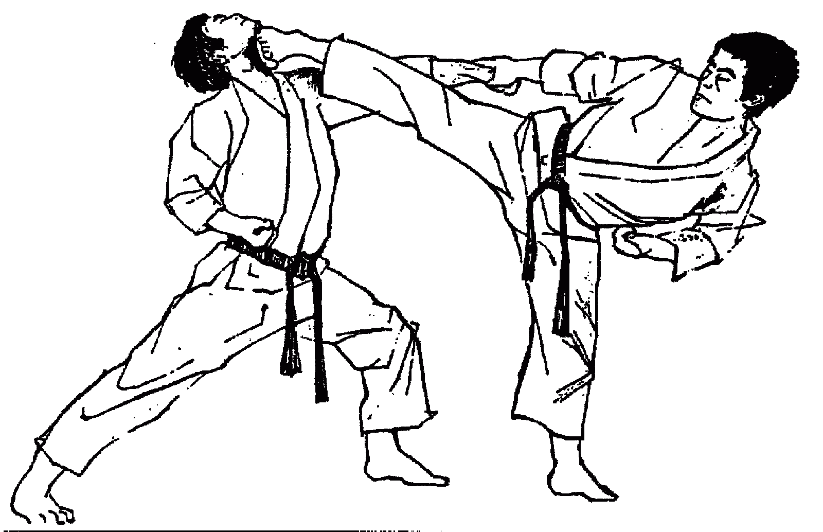 Nippon Karate Association SriLanka Basics