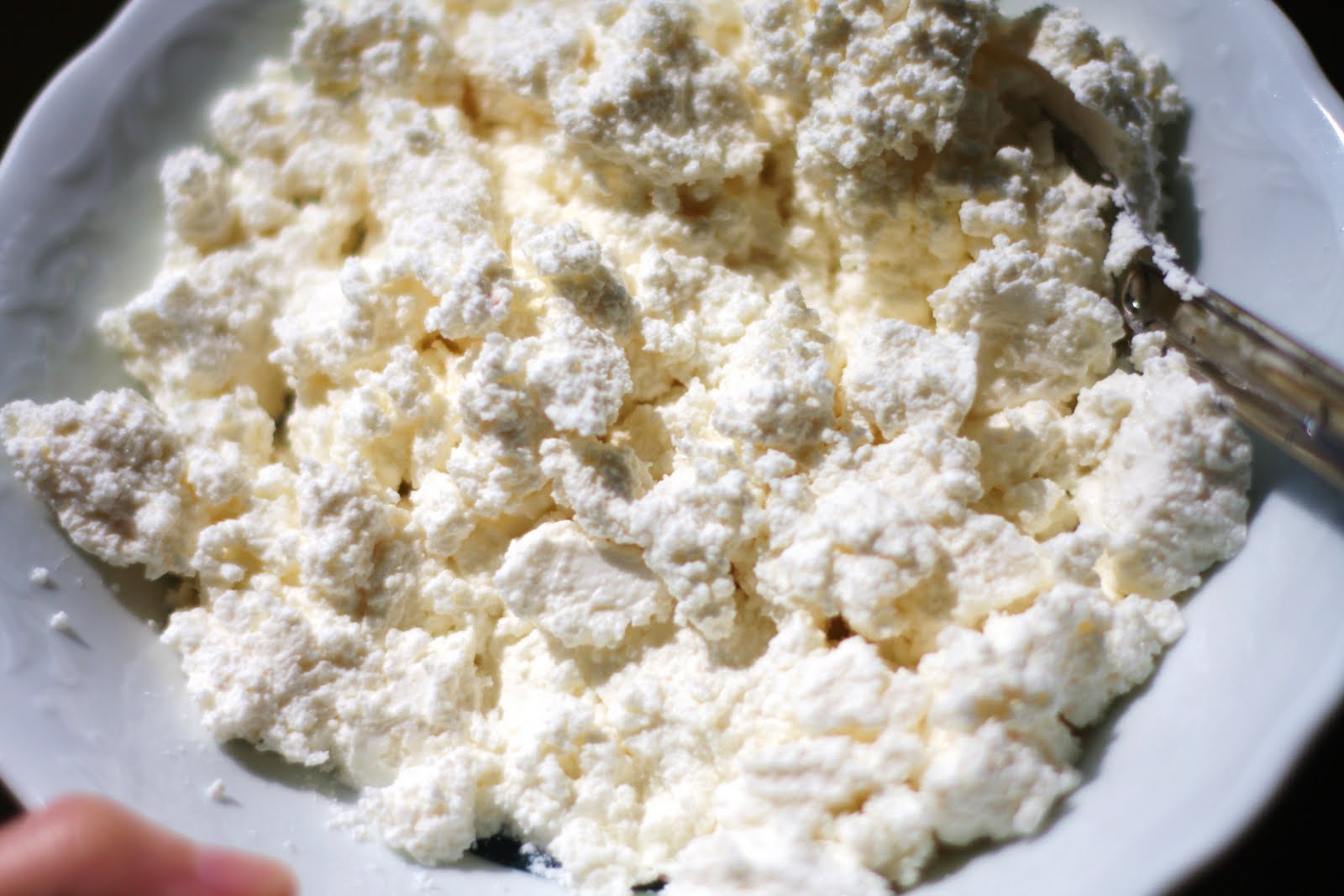 ovenless chef Easy Homemade Ricotta/Cottage cheese!!!!