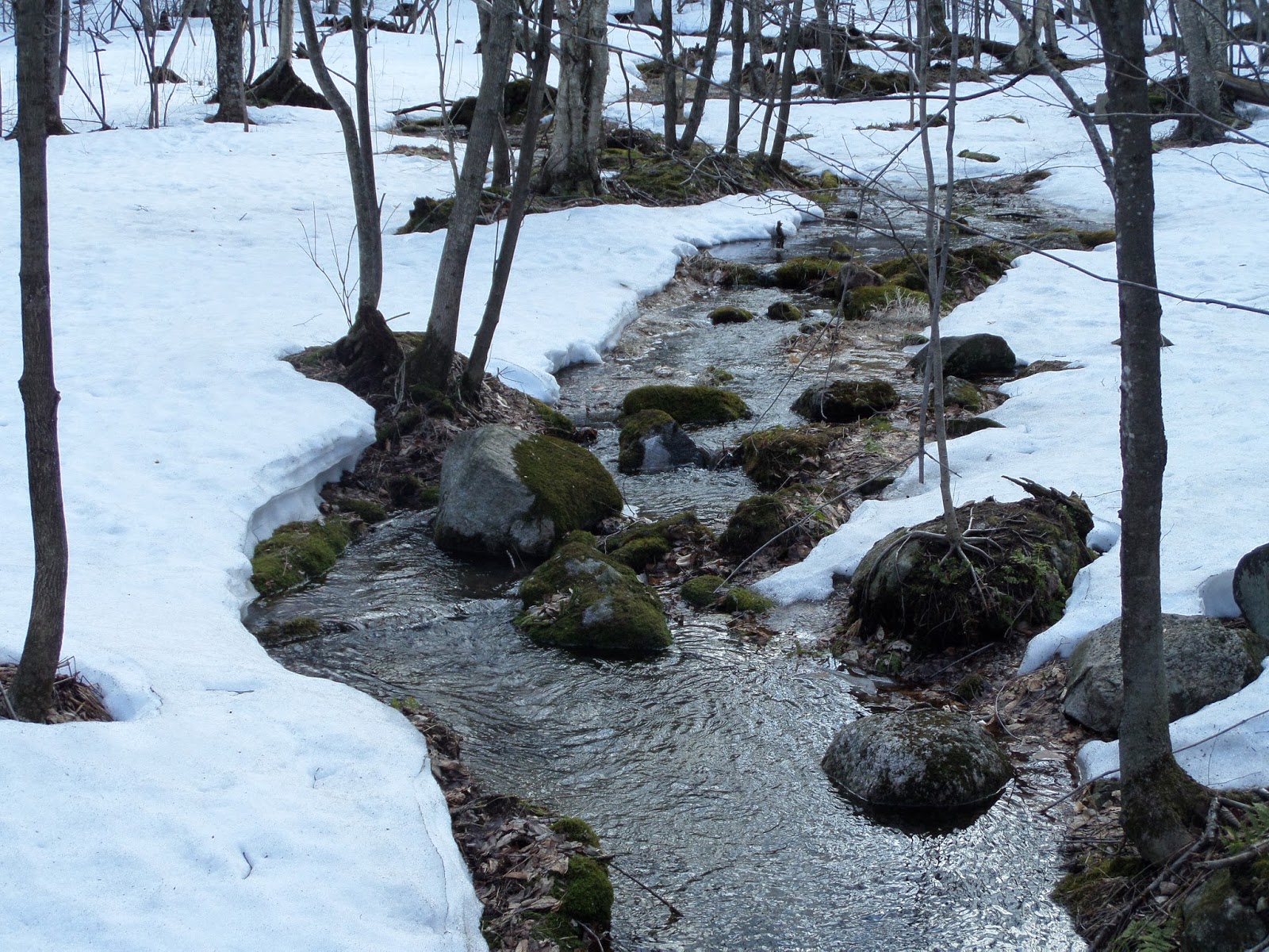 Randonnée au Mont Saint Hilaire Pèlerinage et randonnée