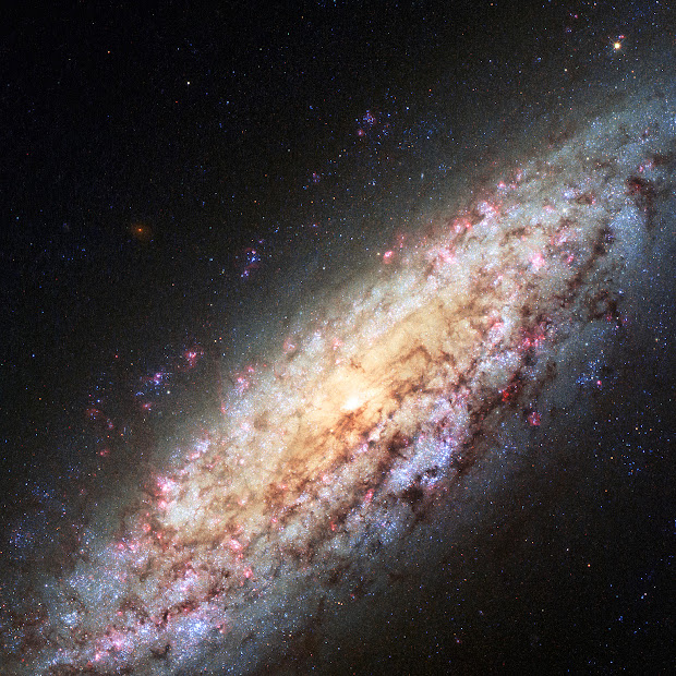 Dwarf Spiral Galaxy NGC 6503