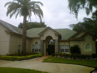 Roof Tile