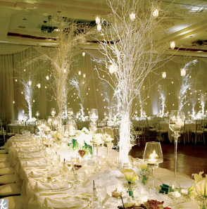 http://www.theknot.com/weddings/photos/winter/reception-decor