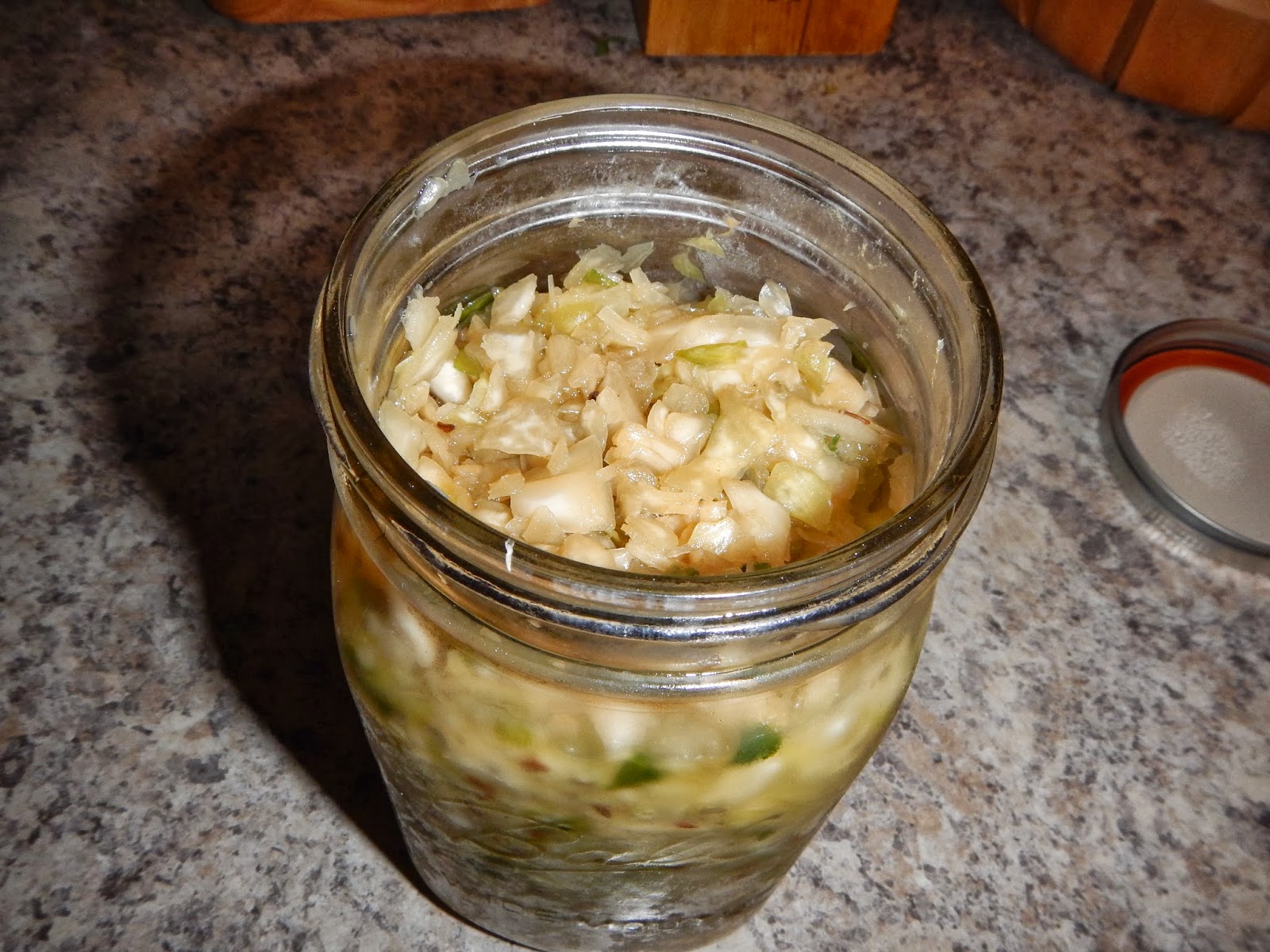 Day by Day Homesteading The Art of Creating Resiliency, One Day at a