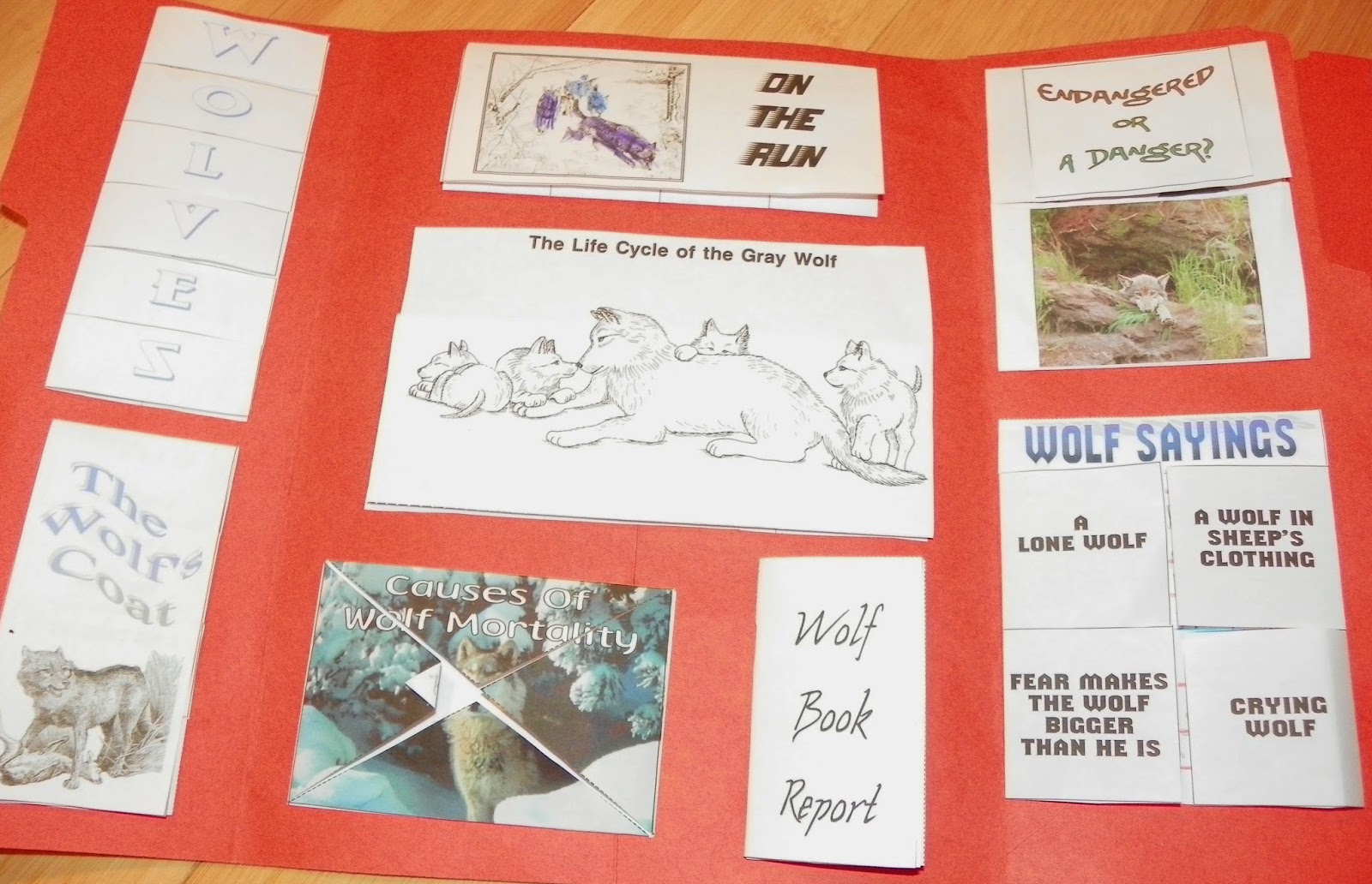 The Little Sewing Shop Wolves Unit Study and Lapbook
