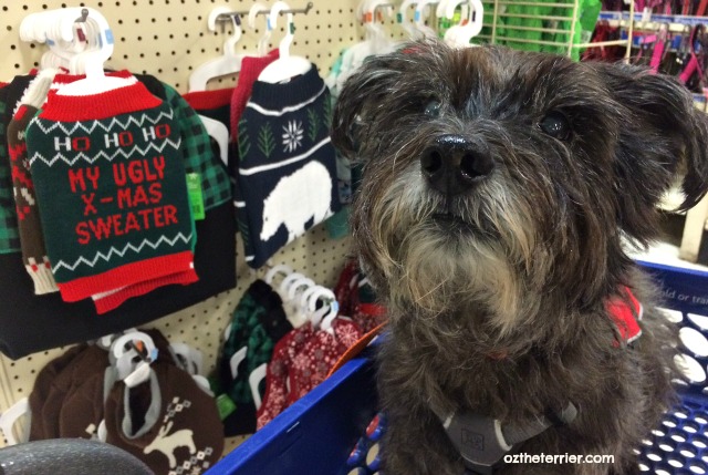 petsmart ugly sweater