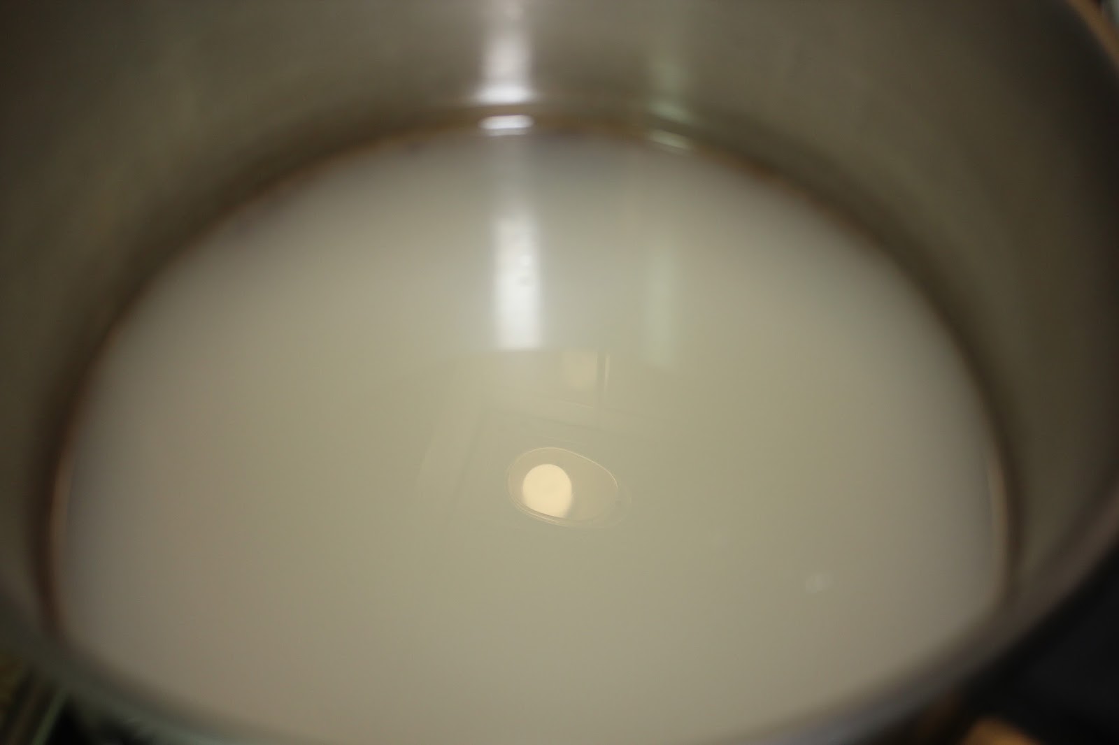 El mundo culinario de Cris Clase magistral de como hacer pectina