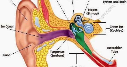 Aiden's Heroes- Autism Blog: Cross Disablilty: Hearing Impairments and