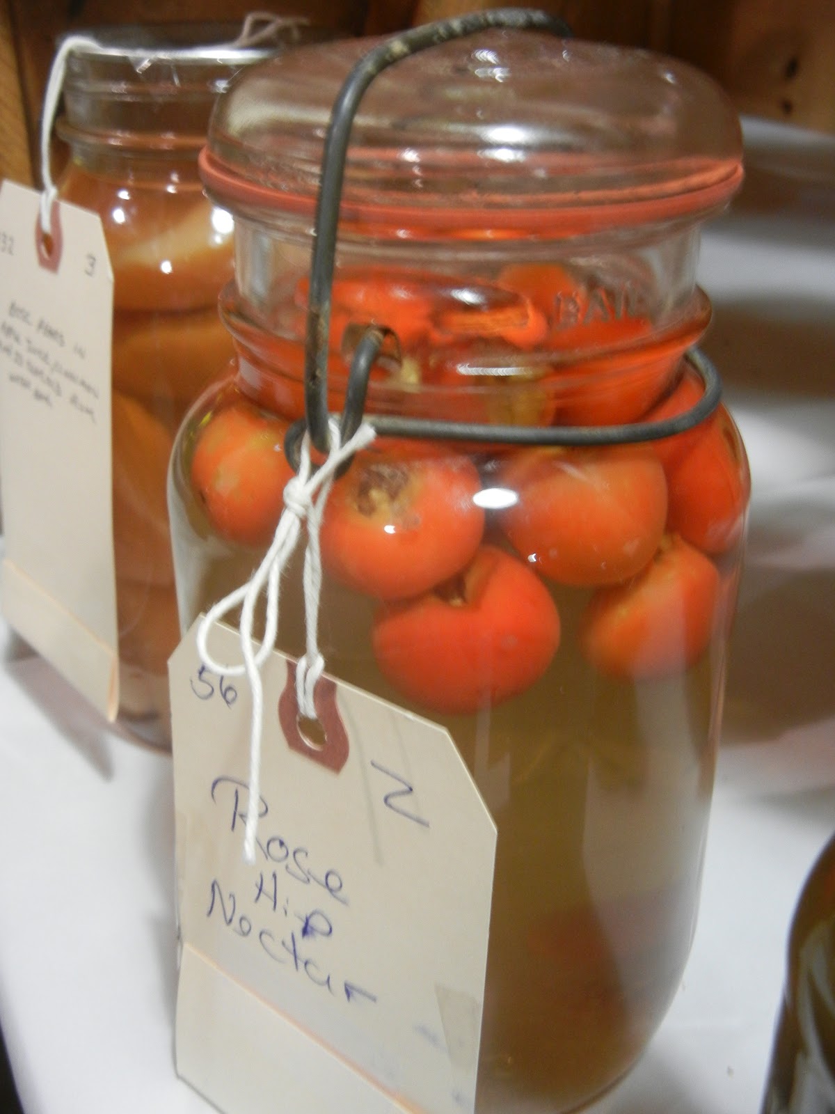The Blueberry Files Canned Goods at the Fair