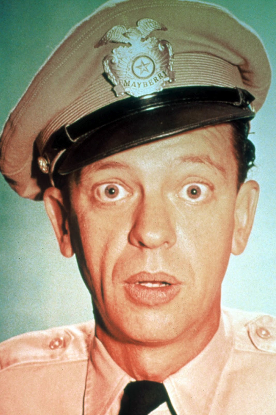 The Don Knotts Show [1970-1971]