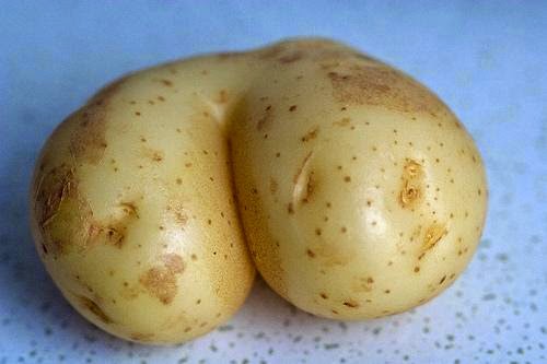 Here is a potato that looks like Kim Kardashian.