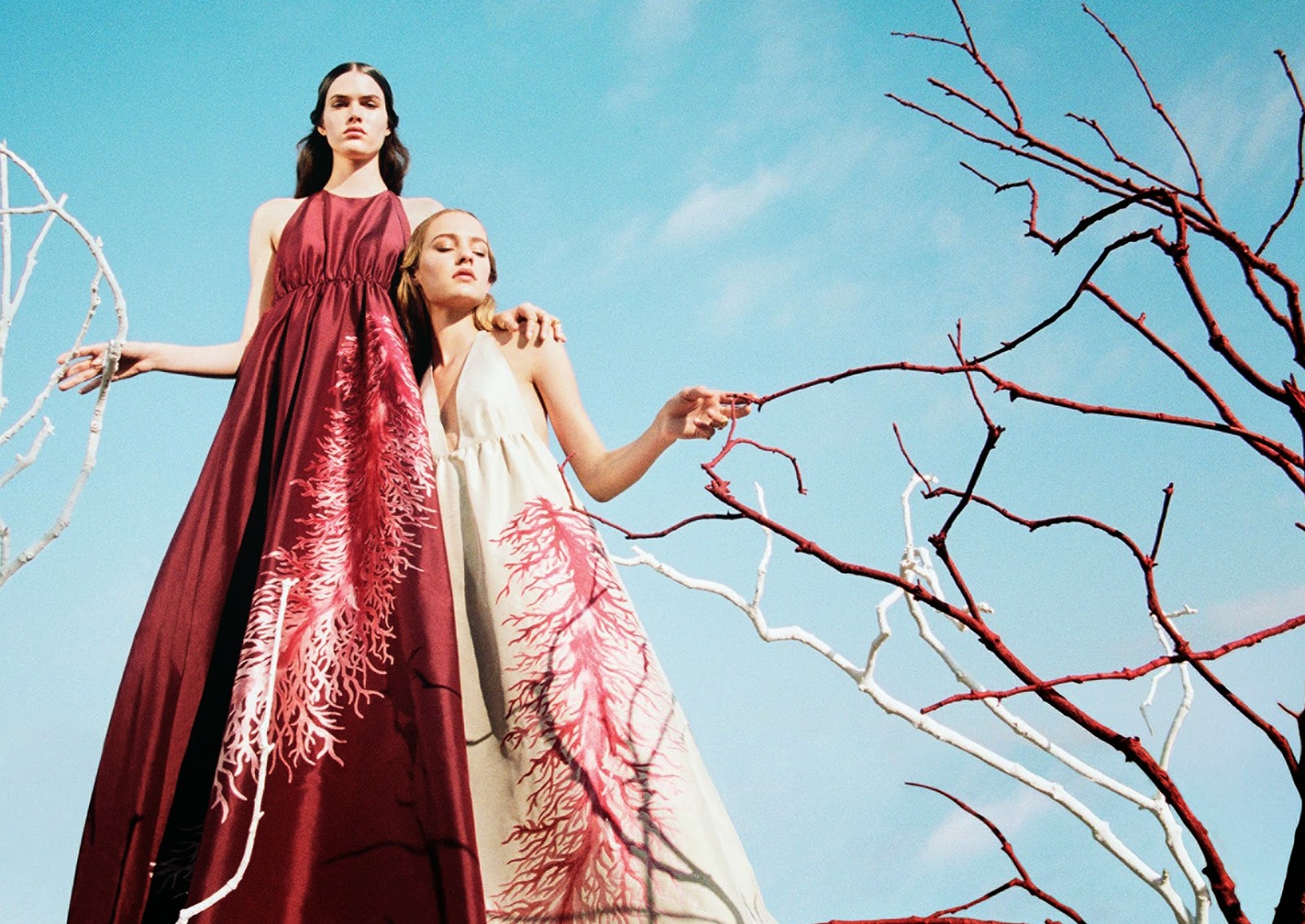 fashion advertising the price of beauty fashion advertising the price of beauty