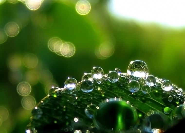 Imagenes Gotas De Agua Imagenes Gotas De Agua