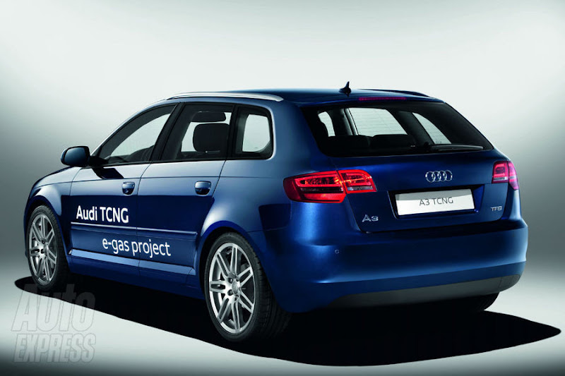 Audi A3 E-Gas Project Audi A3 E-Gas Project